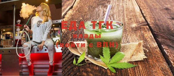 индика Елизово