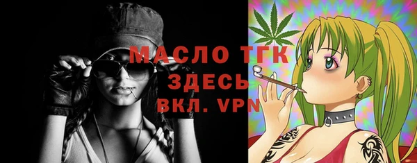 индика Елизово