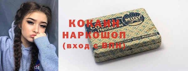 индика Елизово