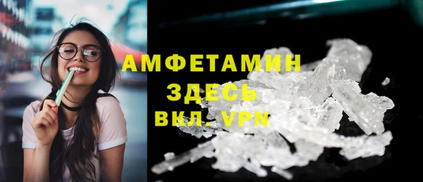 индика Елизово