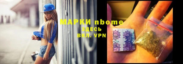 крисы Ельня
