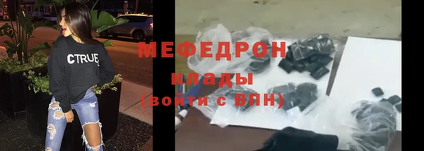 индика Елизово