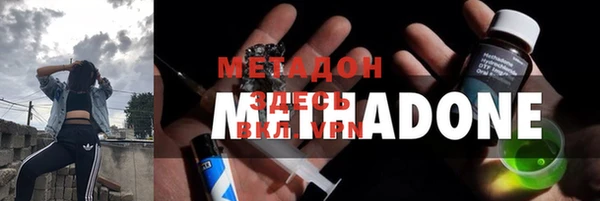 индика Елизово