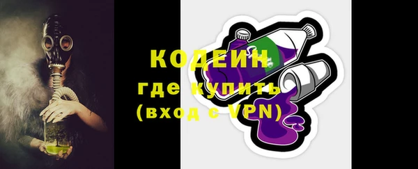 индика Елизово