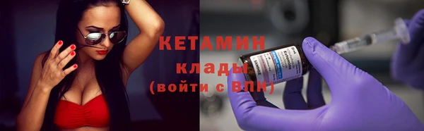 крисы Ельня