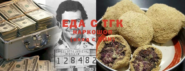 индика Елизово