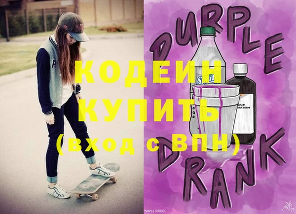 крисы Ельня