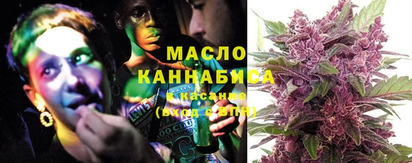 индика Елизово