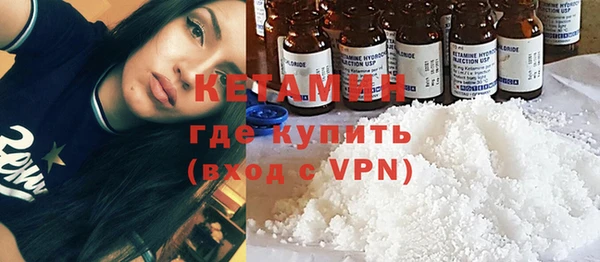индика Елизово