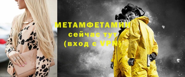 крисы Ельня