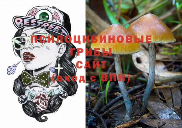 крисы Ельня