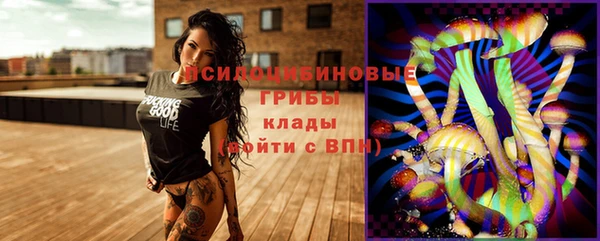 индика Елизово