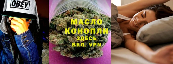 индика Елизово