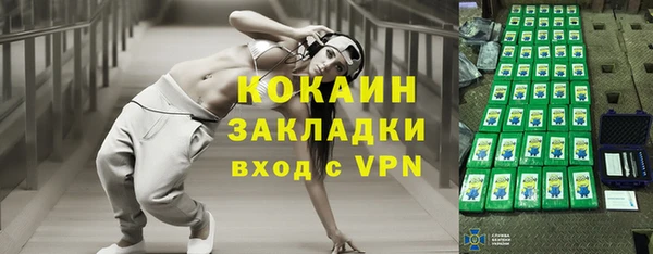 крисы Ельня