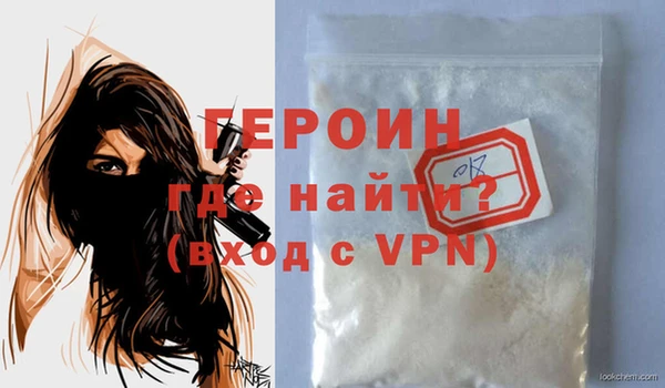 индика Елизово