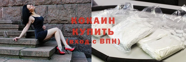 крисы Ельня