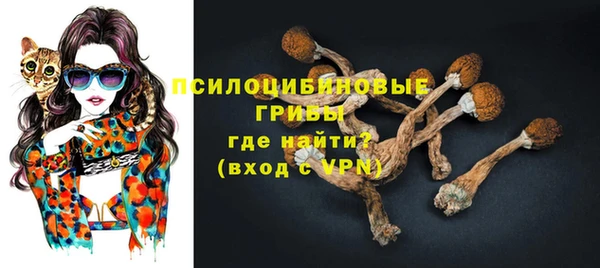 крисы Ельня