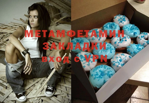 индика Елизово