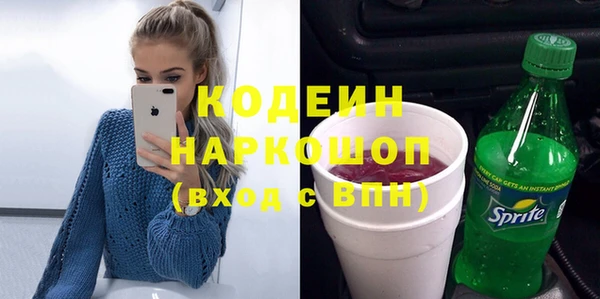 индика Елизово