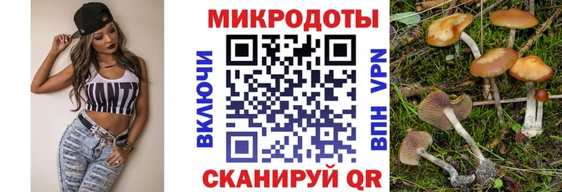 Галлюциногенные грибы Psilocybe  как найти   Королёв 